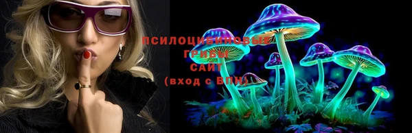 амф Алексеевка