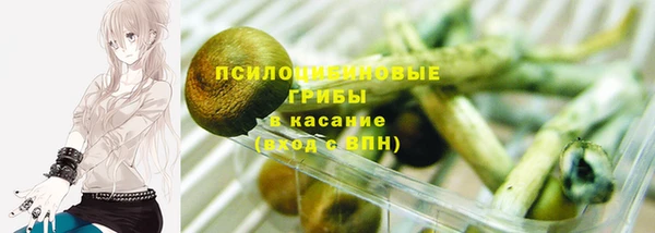 герыч Алексин