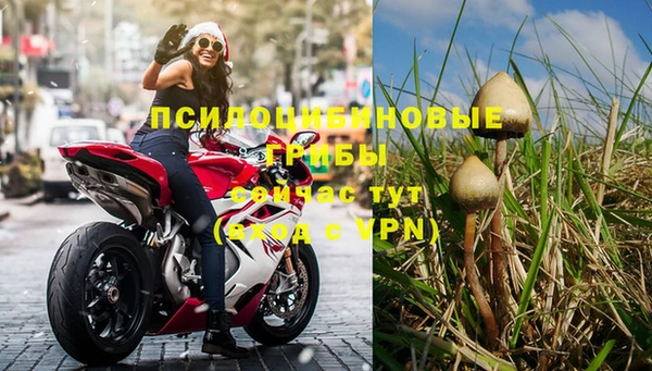 амф Алексеевка