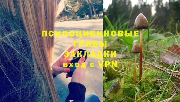 амф Алексеевка