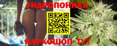 амф Заволжье