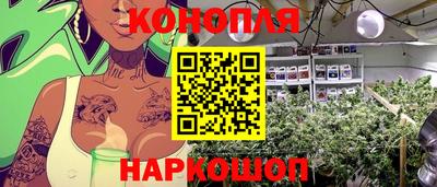 гидропоника Заводоуковск