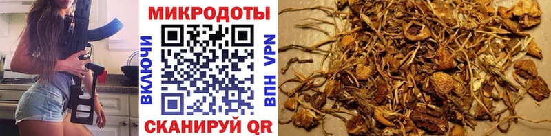hydra ссылки  Иркутск  Галлюциногенные грибы прущие грибы 