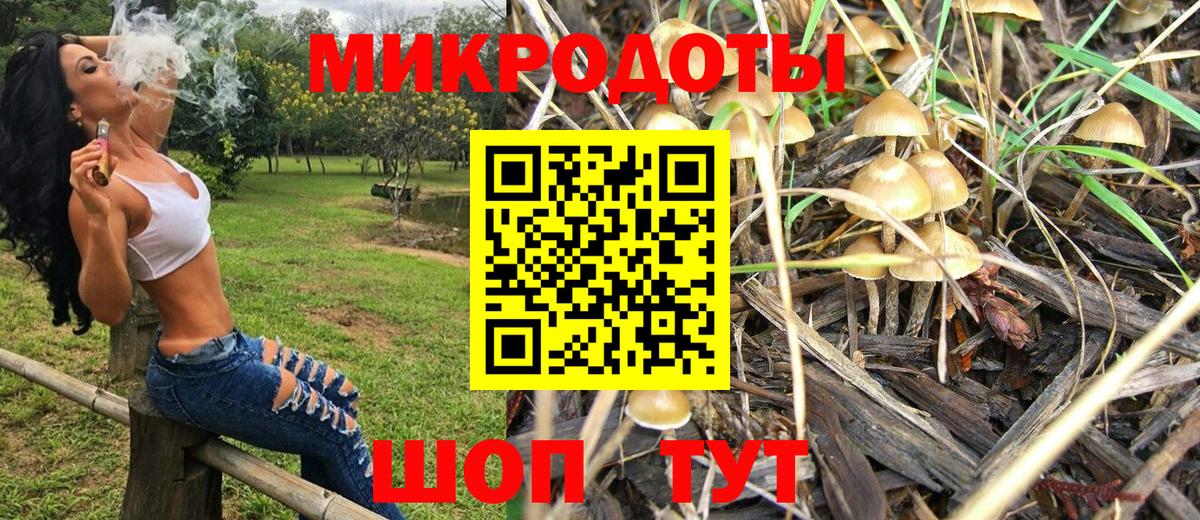 Иркутск  Псилоцибиновые грибы прущие грибы  Вход с VPN 